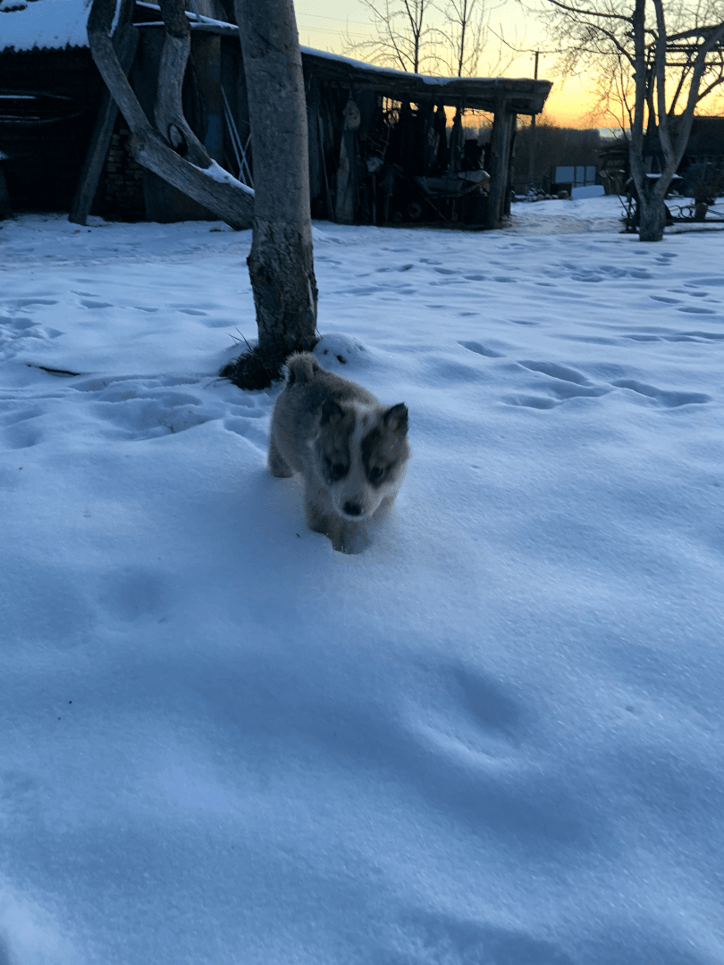 carousel-image-mobile-3