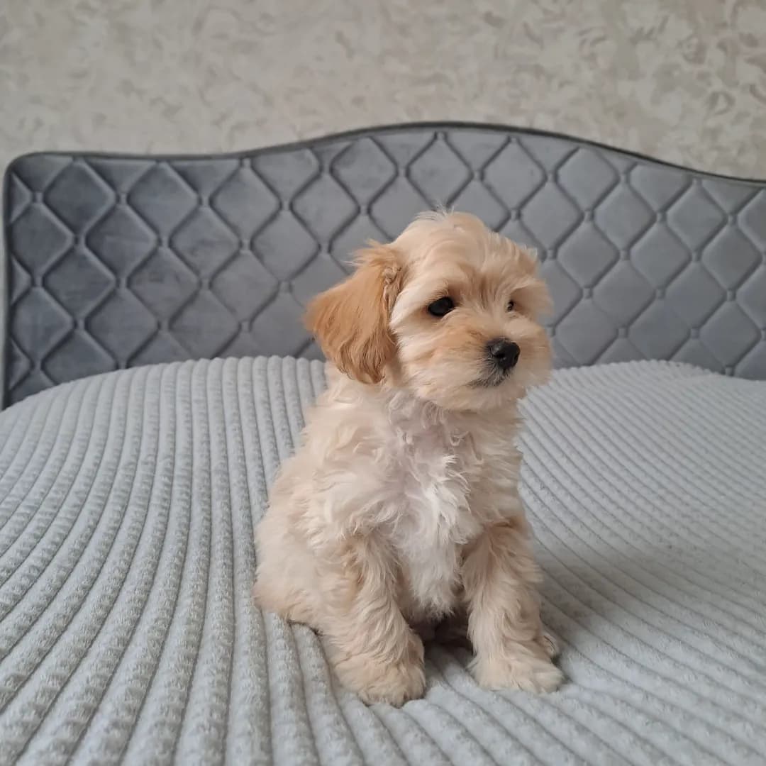 carousel-image-mobile-1