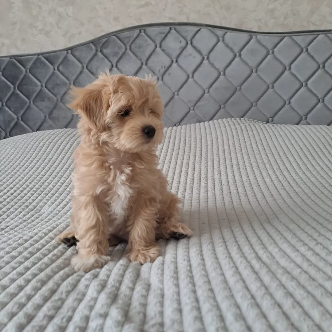 carousel-image-mobile-2