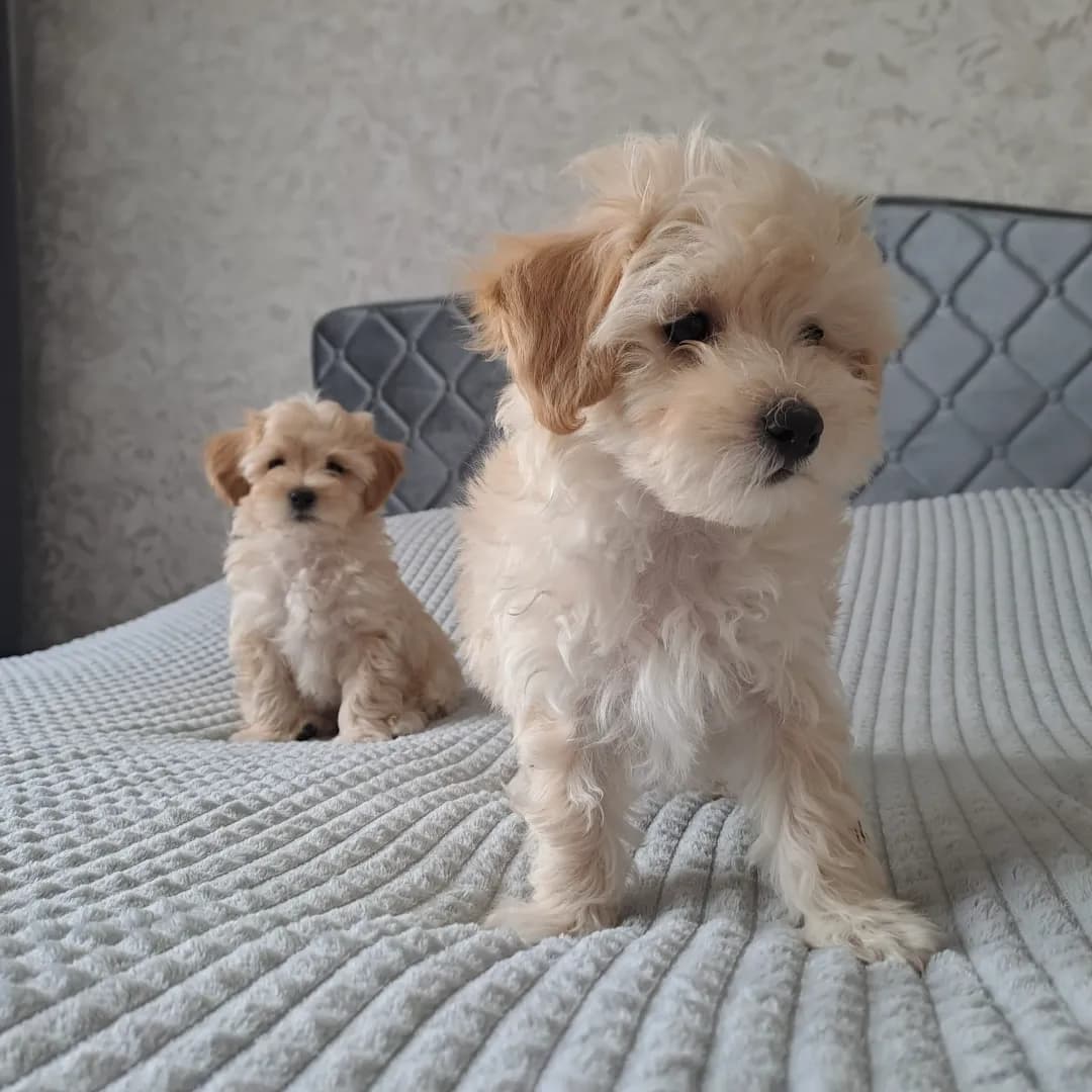 carousel-image-mobile-3