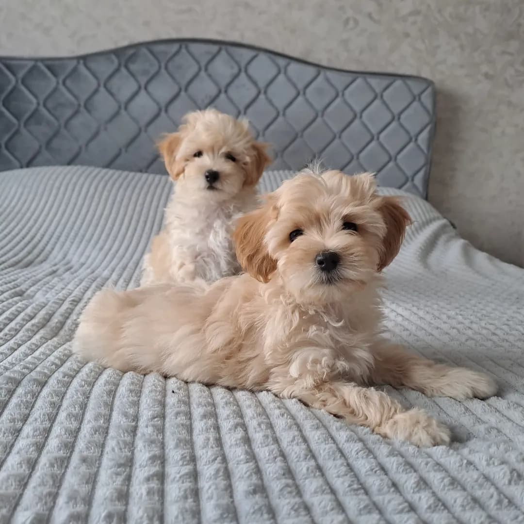 carousel-image-mobile-4