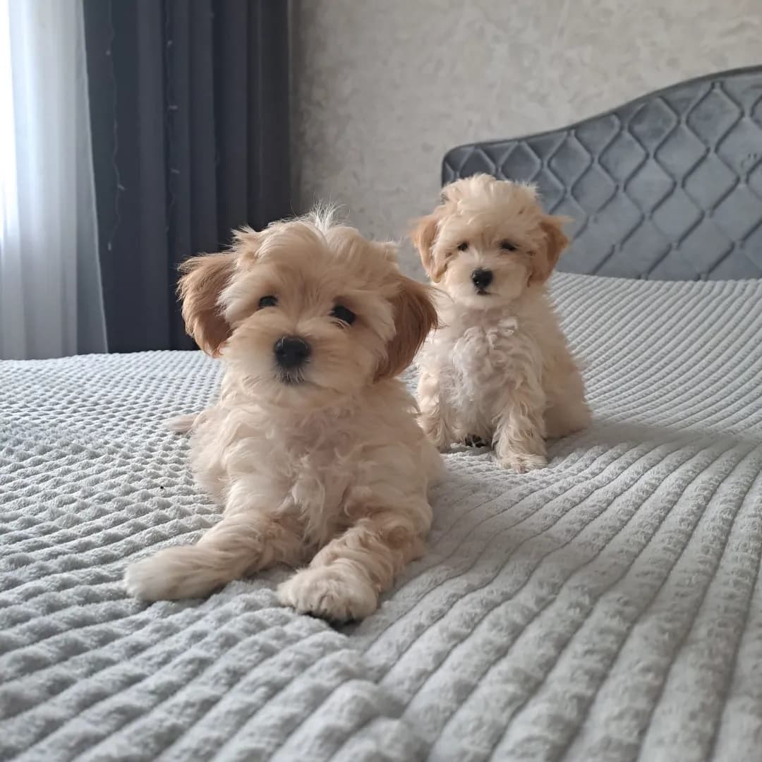 carousel-image-mobile-5