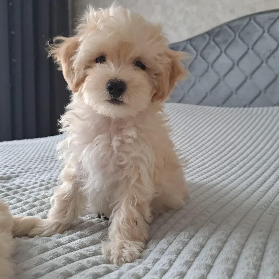 carousel-image-mobile-6