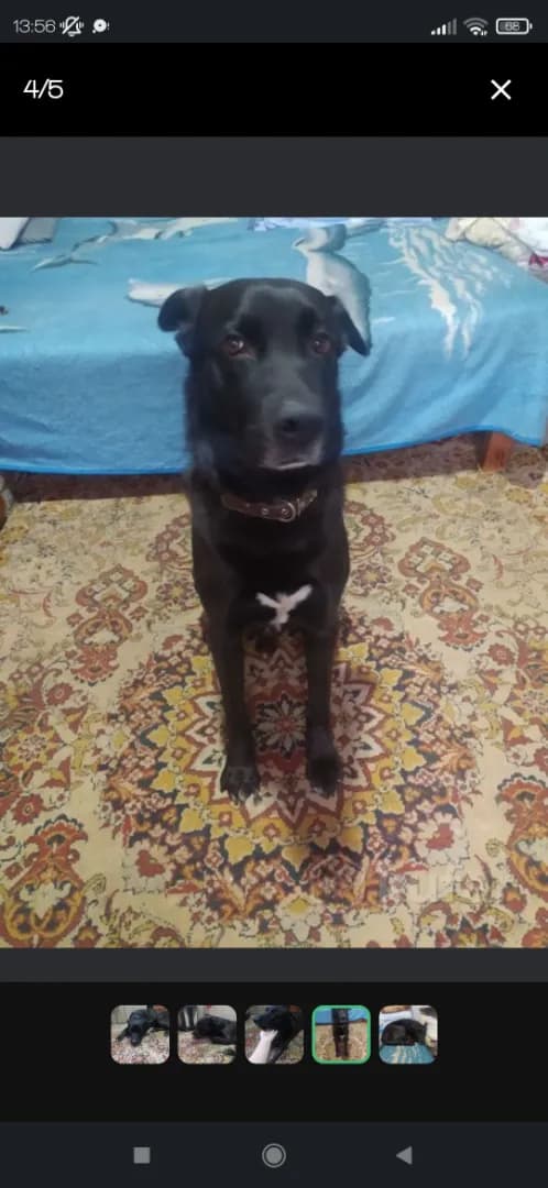 carousel-image-mobile-1