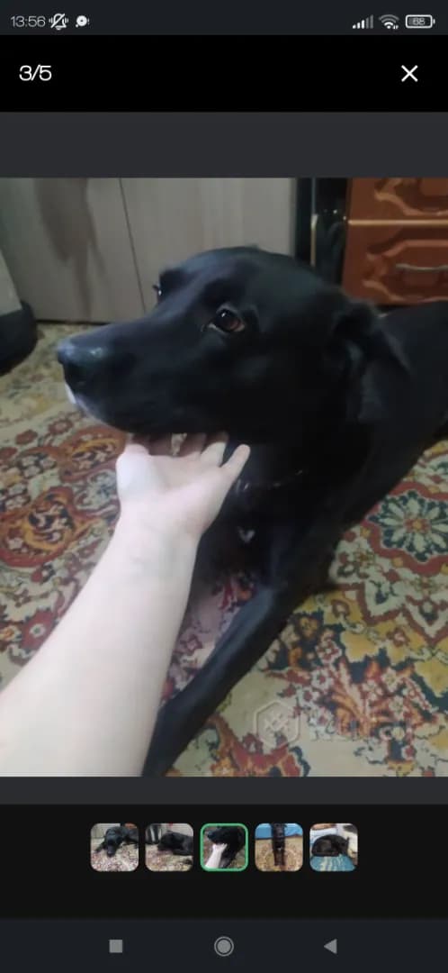 carousel-image-mobile-2