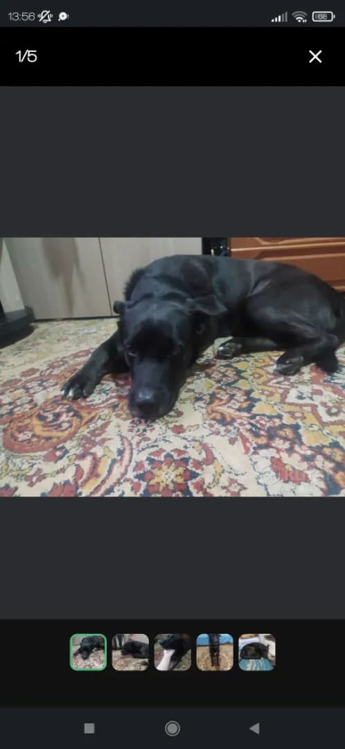 carousel-image-mobile-3