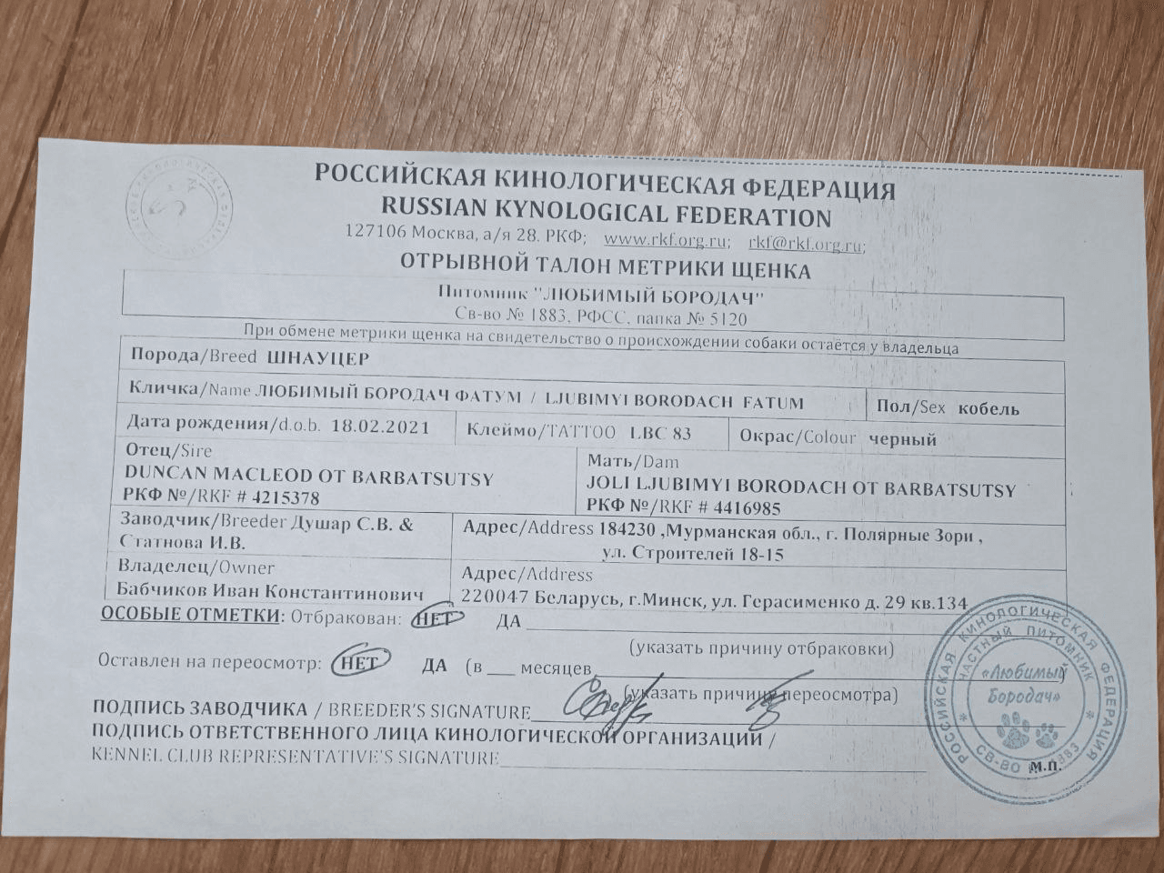 carousel-image-mobile-1