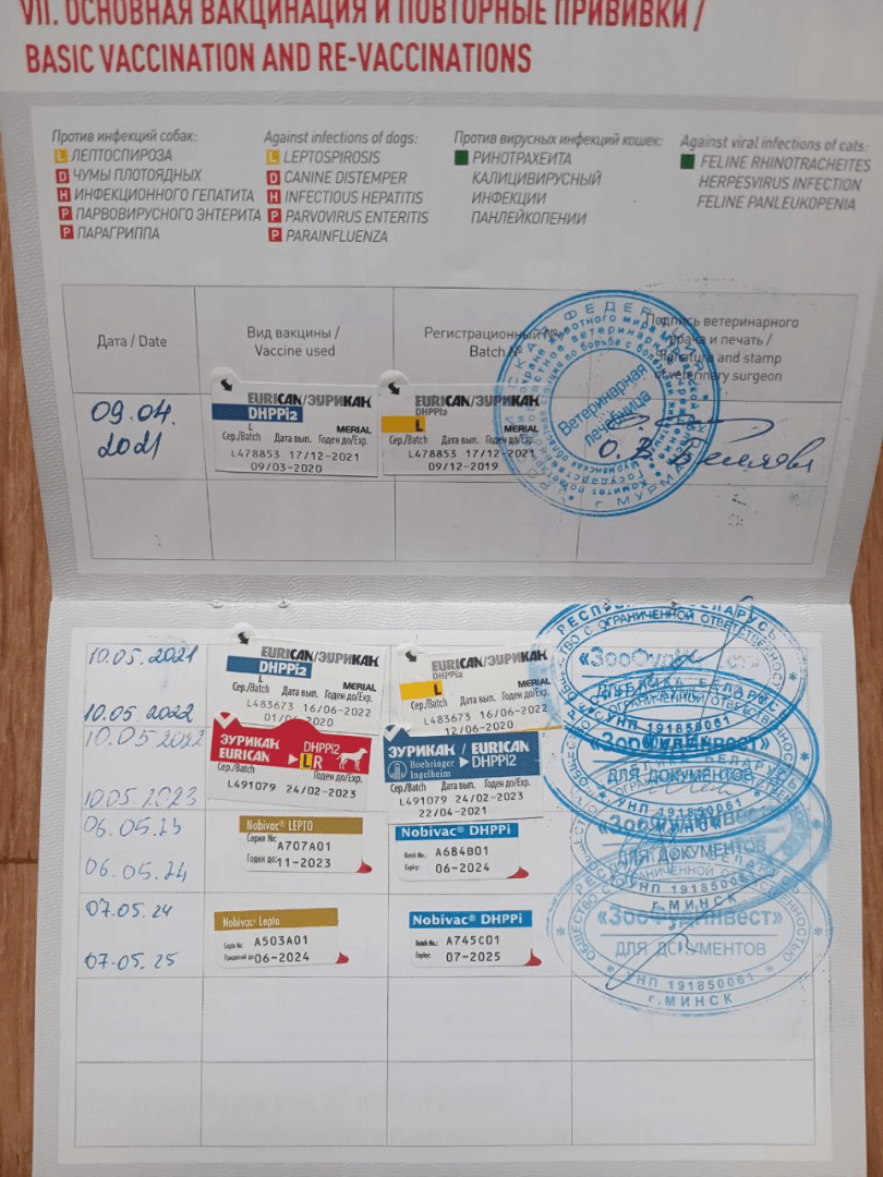 carousel-image-mobile-2