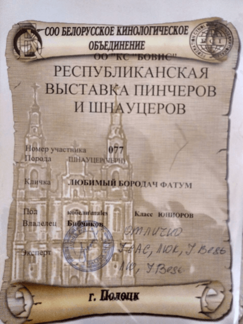 carousel-image-mobile-4