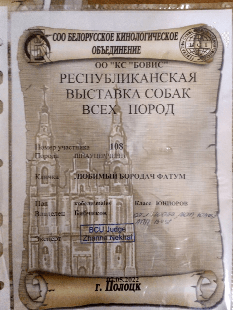 carousel-image-mobile-5