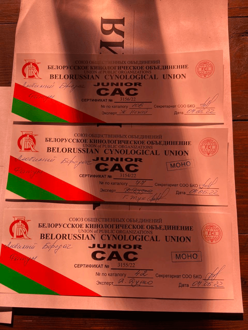 carousel-image-mobile-6