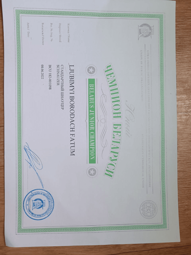 carousel-image-mobile-7