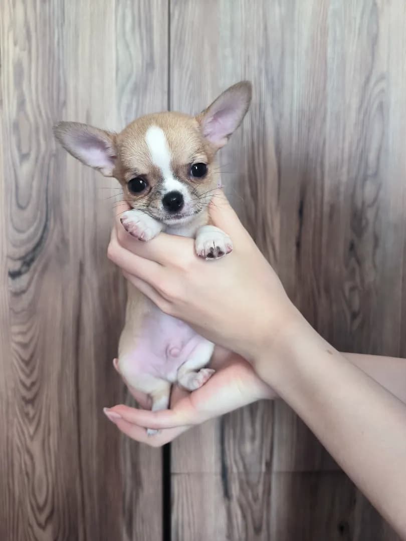 carousel-image-mobile-3