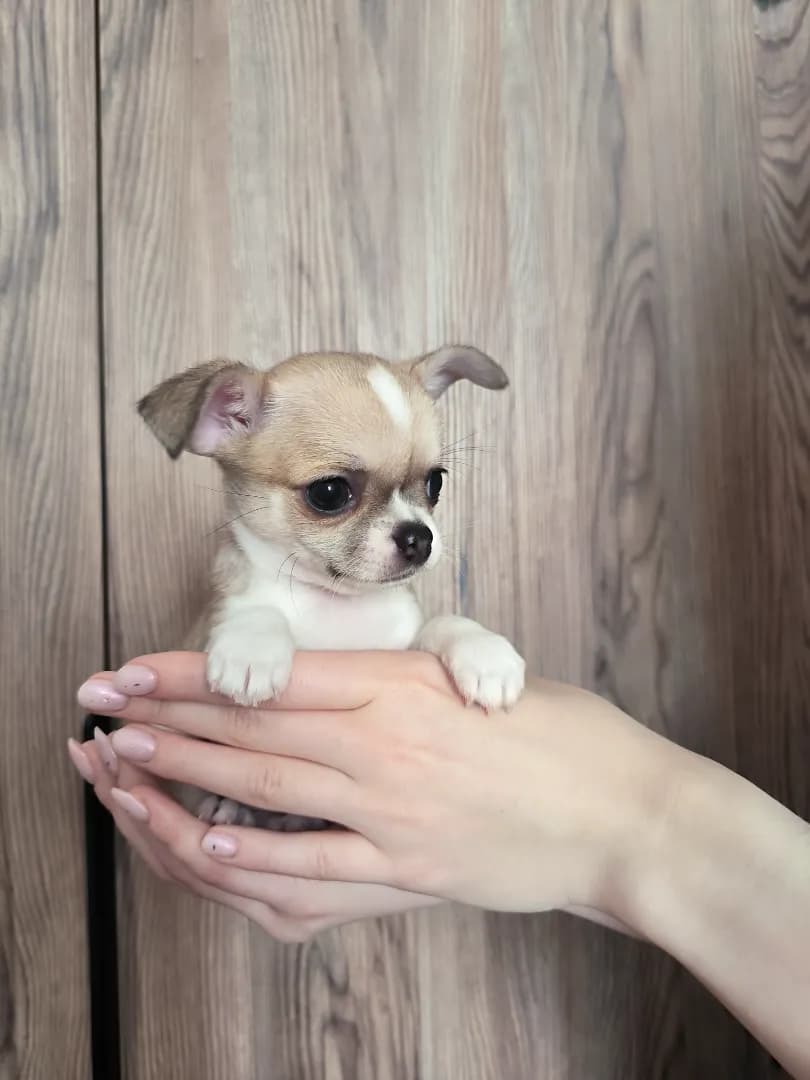 carousel-image-mobile-4