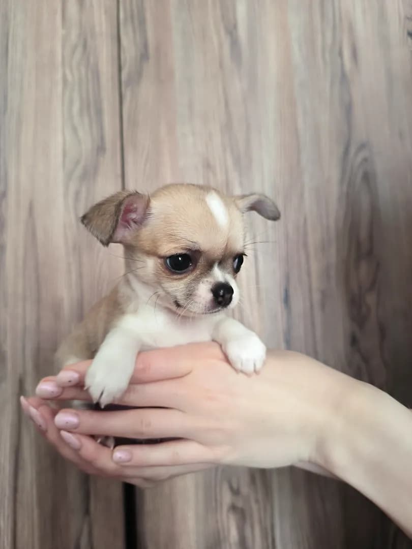 carousel-image-mobile-5