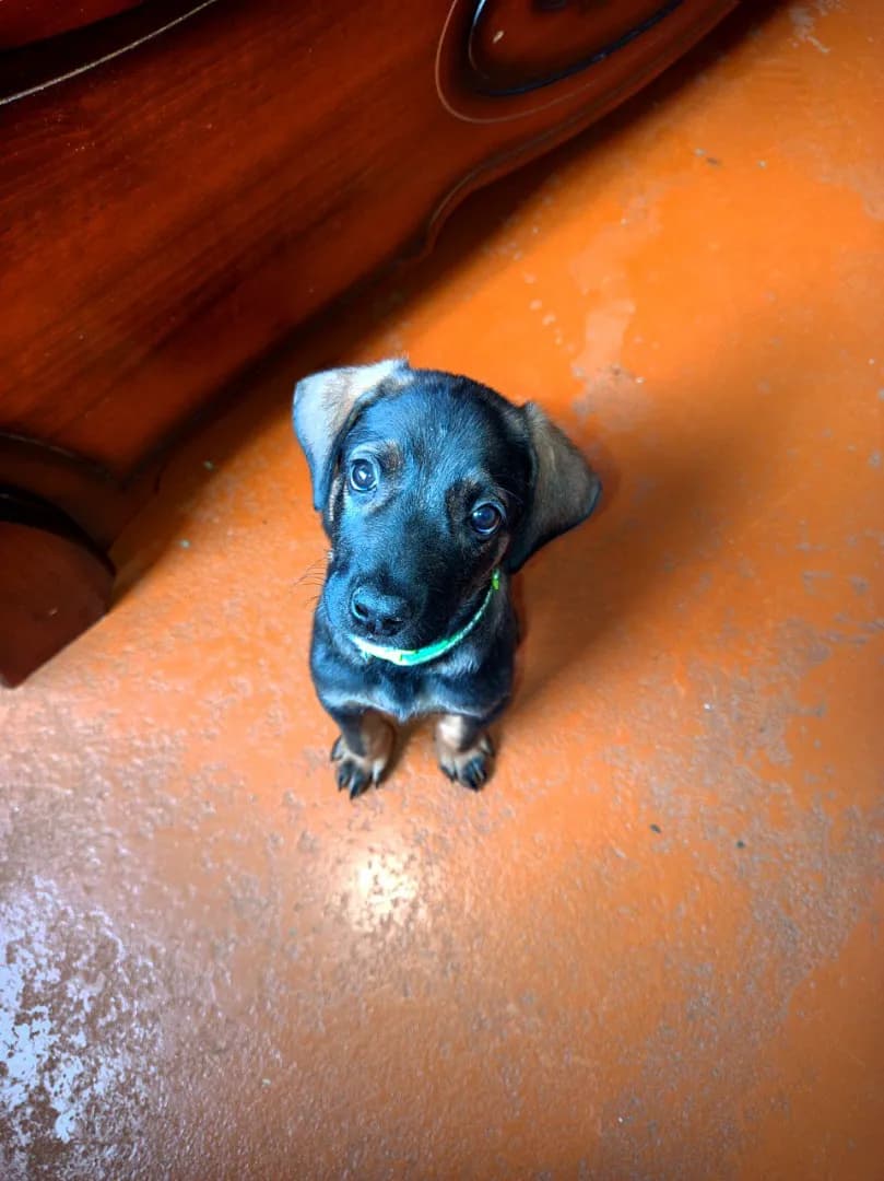 carousel-image-mobile-1