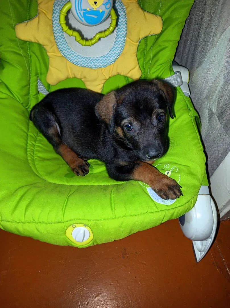 carousel-image-mobile-2