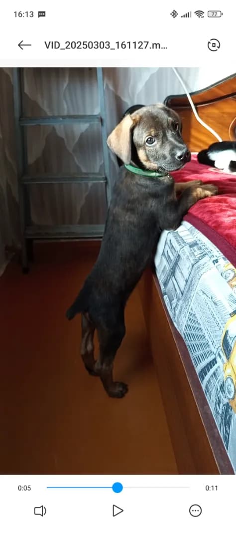 carousel-image-mobile-3