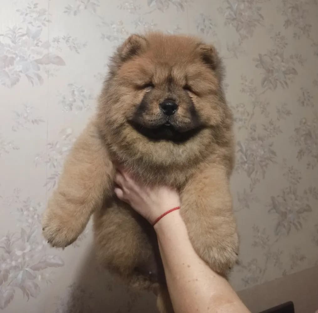 carousel-image-mobile-1