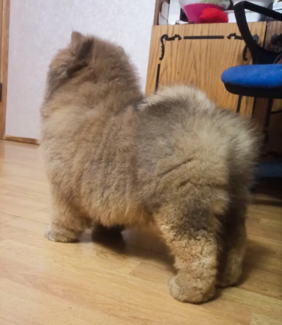 carousel-image-mobile-2