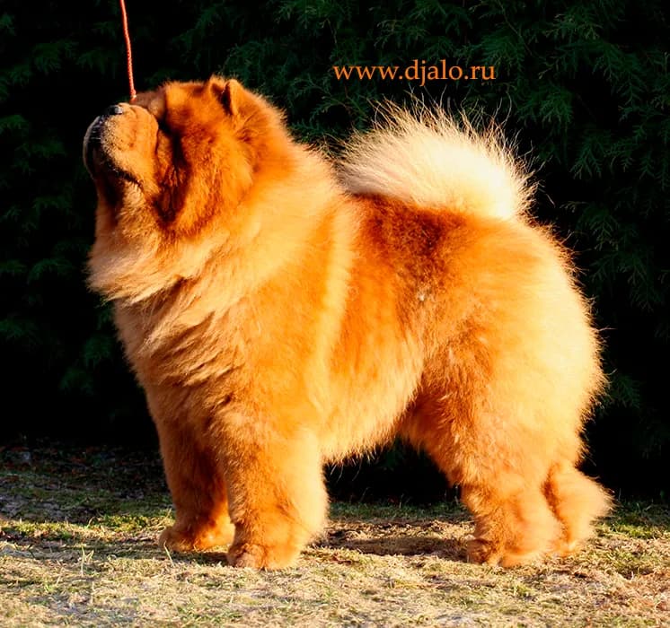 carousel-image-mobile-3