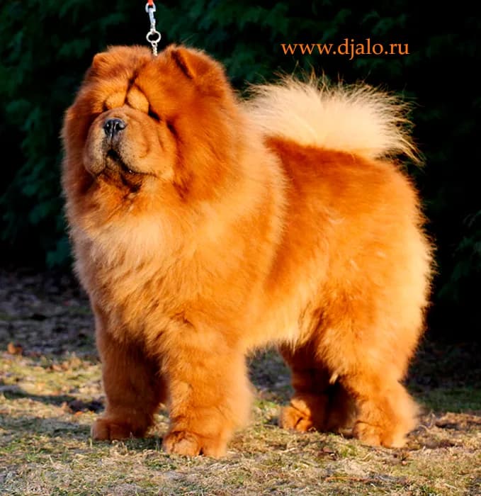 carousel-image-mobile-4