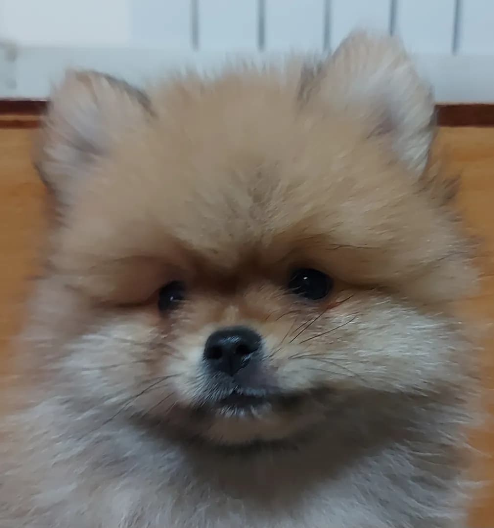 carousel-image-mobile-1