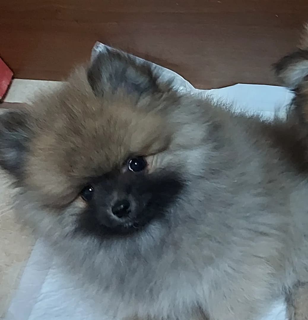 carousel-image-mobile-2