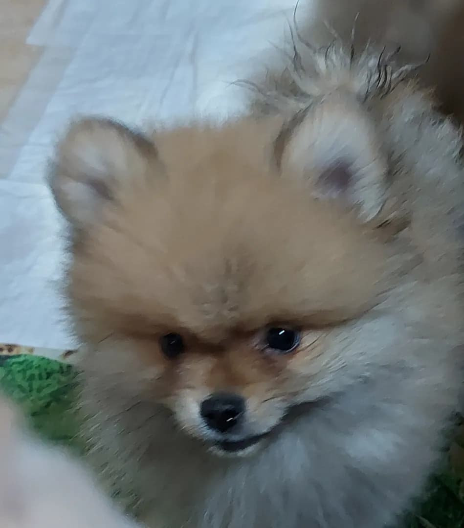 carousel-image-mobile-3