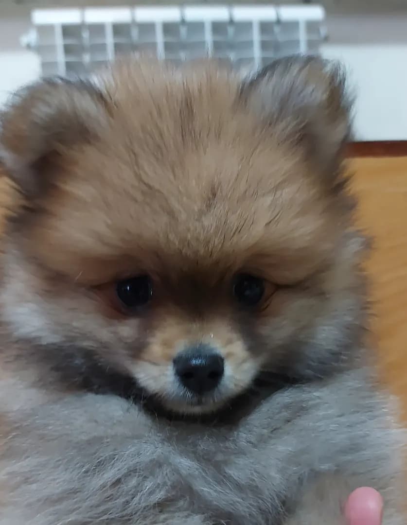 carousel-image-mobile-4