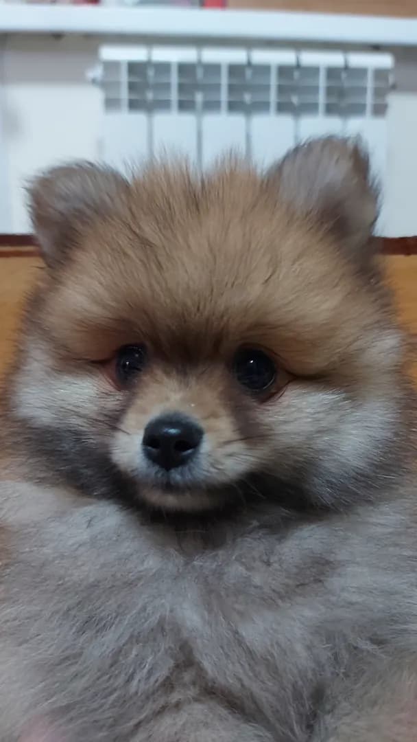 carousel-image-mobile-5