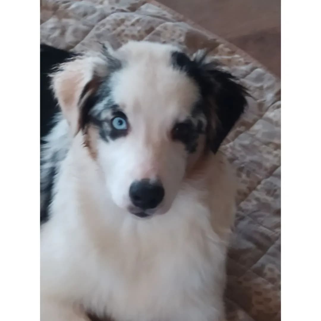 carousel-image-mobile-1