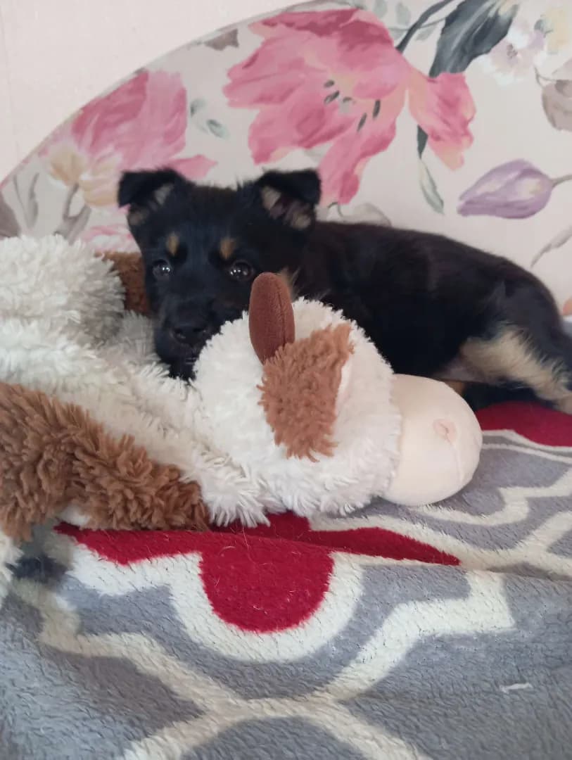 carousel-image-mobile-1