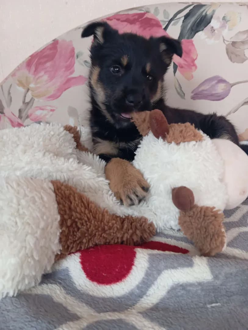 carousel-image-mobile-2