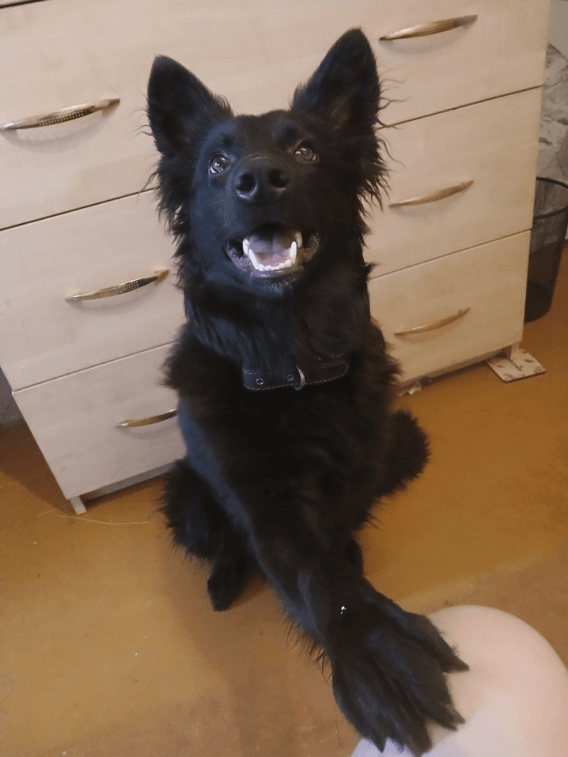 carousel-image-mobile-1