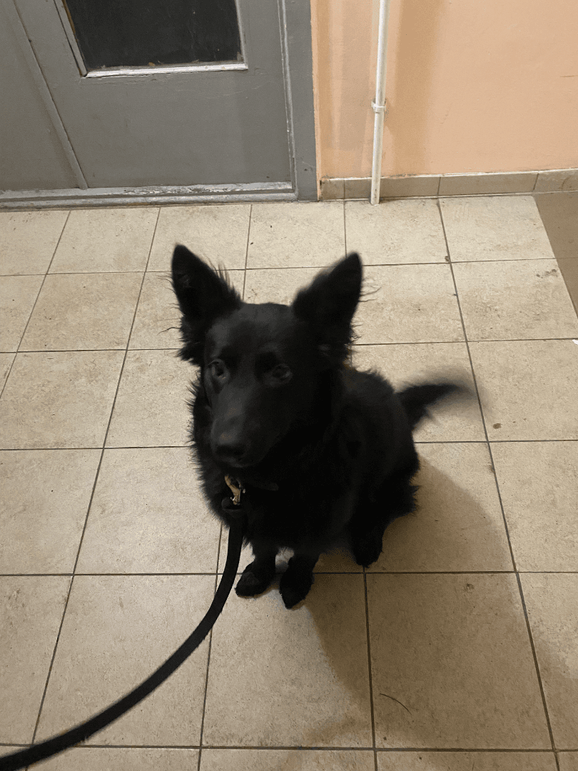 carousel-image-mobile-2