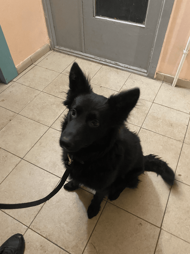 carousel-image-mobile-3