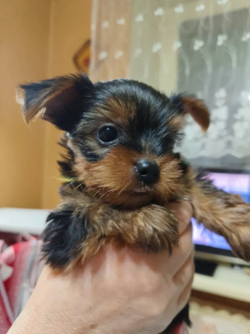 carousel-image-mobile-1