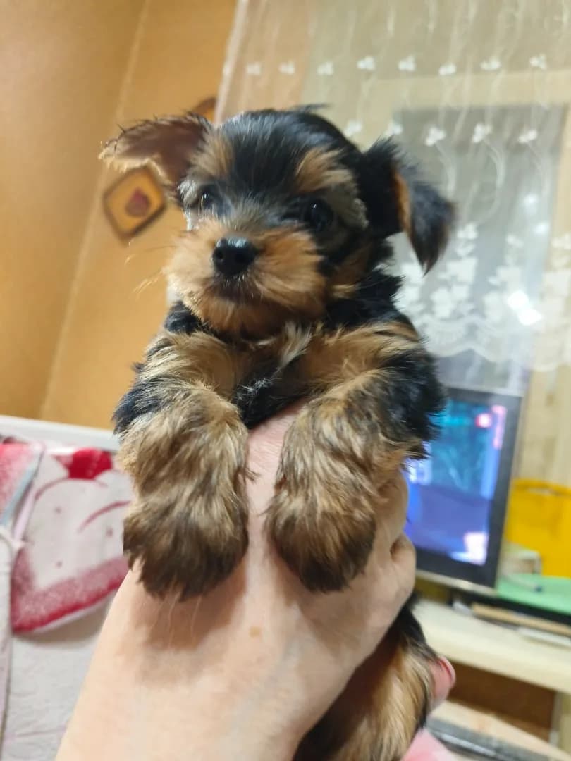 carousel-image-mobile-2