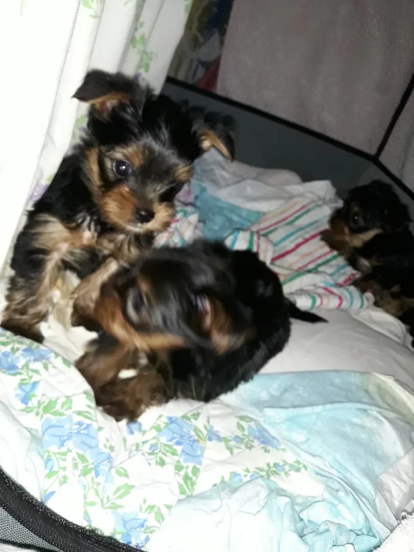 carousel-image-mobile-3