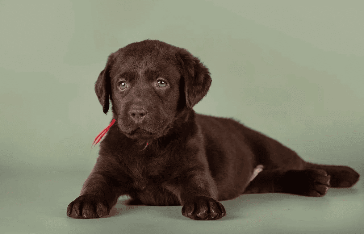 carousel-image-mobile-1