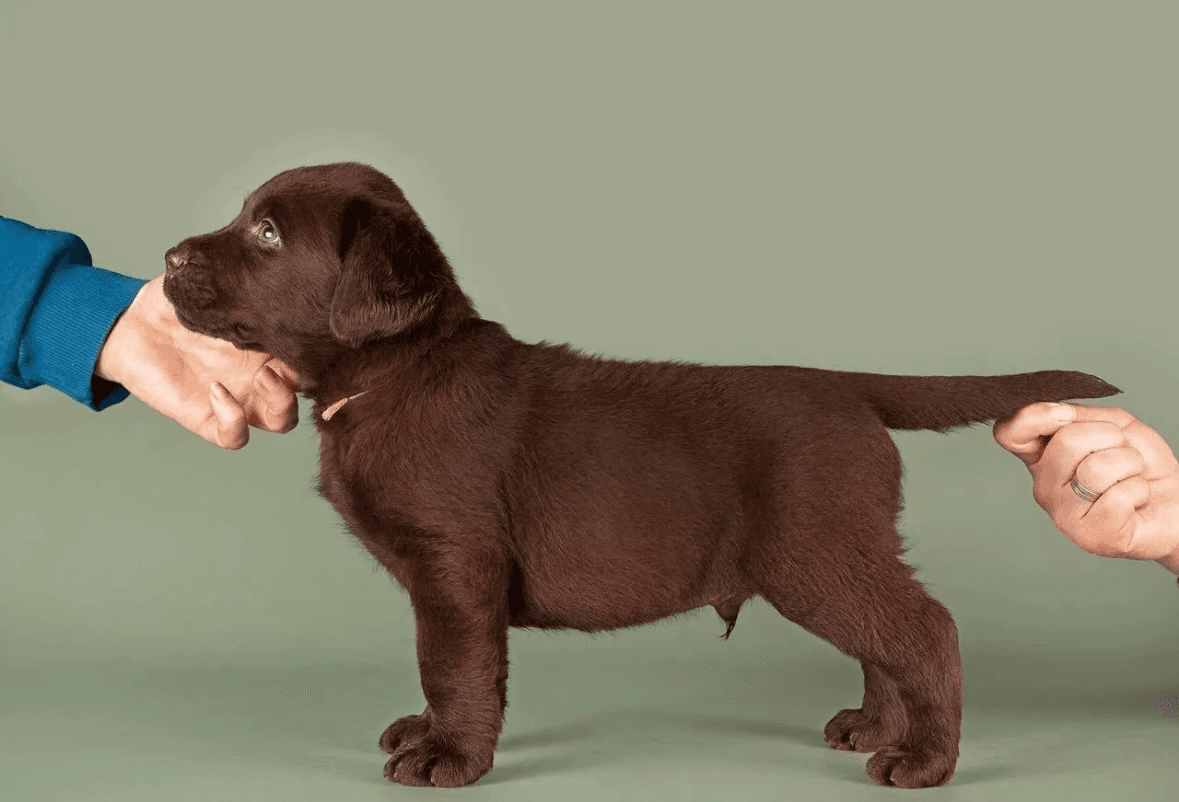 carousel-image-mobile-2