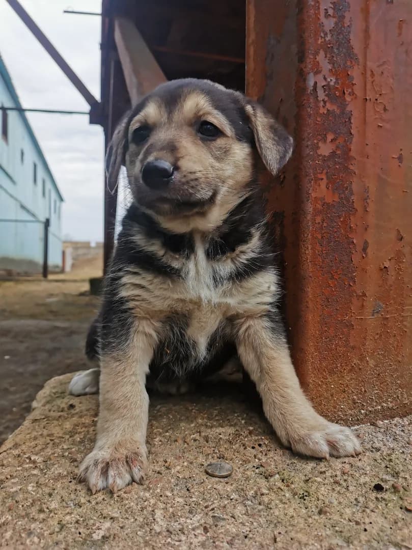 carousel-image-mobile-1