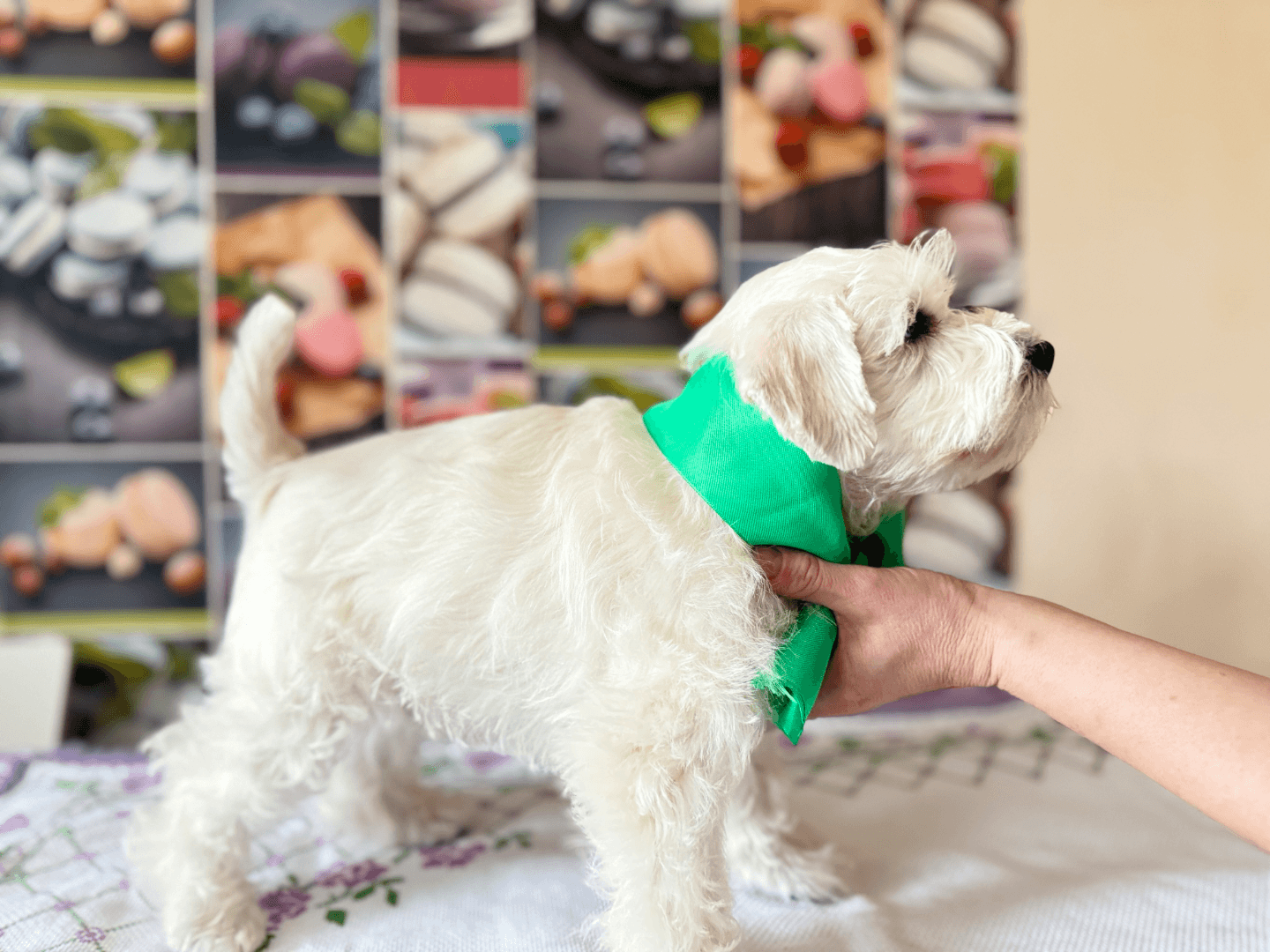 carousel-image-mobile-3