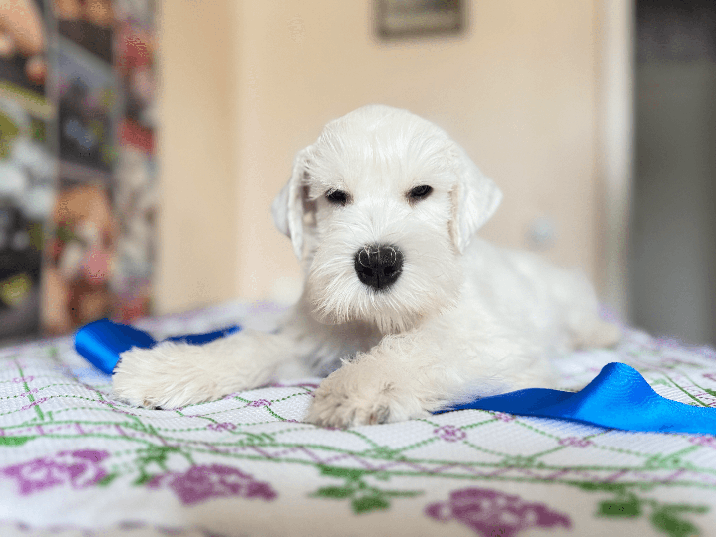 carousel-image-mobile-4