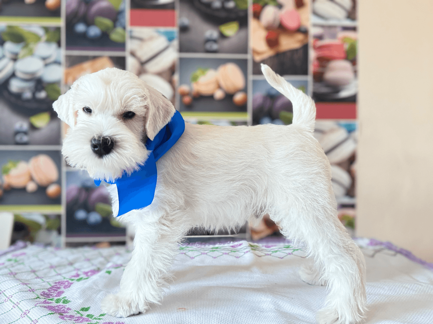 carousel-image-mobile-5