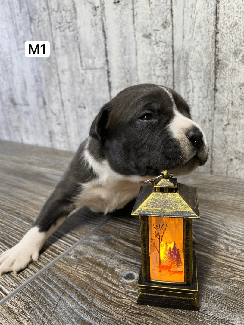 carousel-image-mobile-1