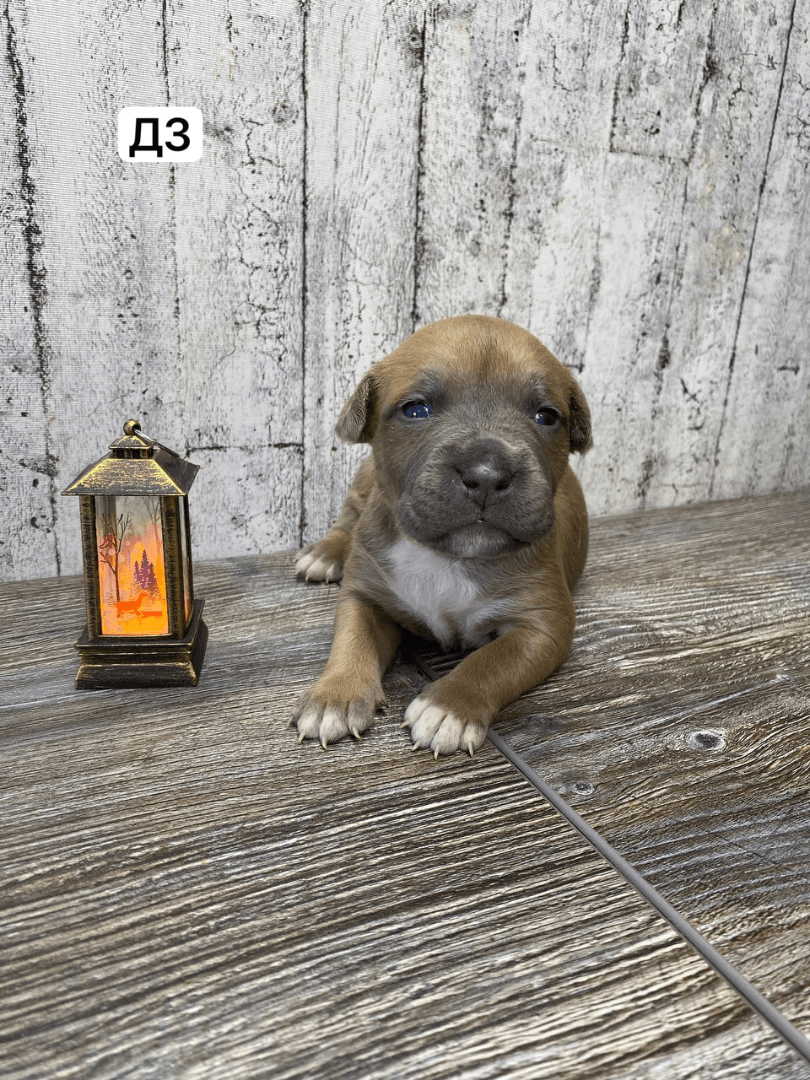 carousel-image-mobile-2