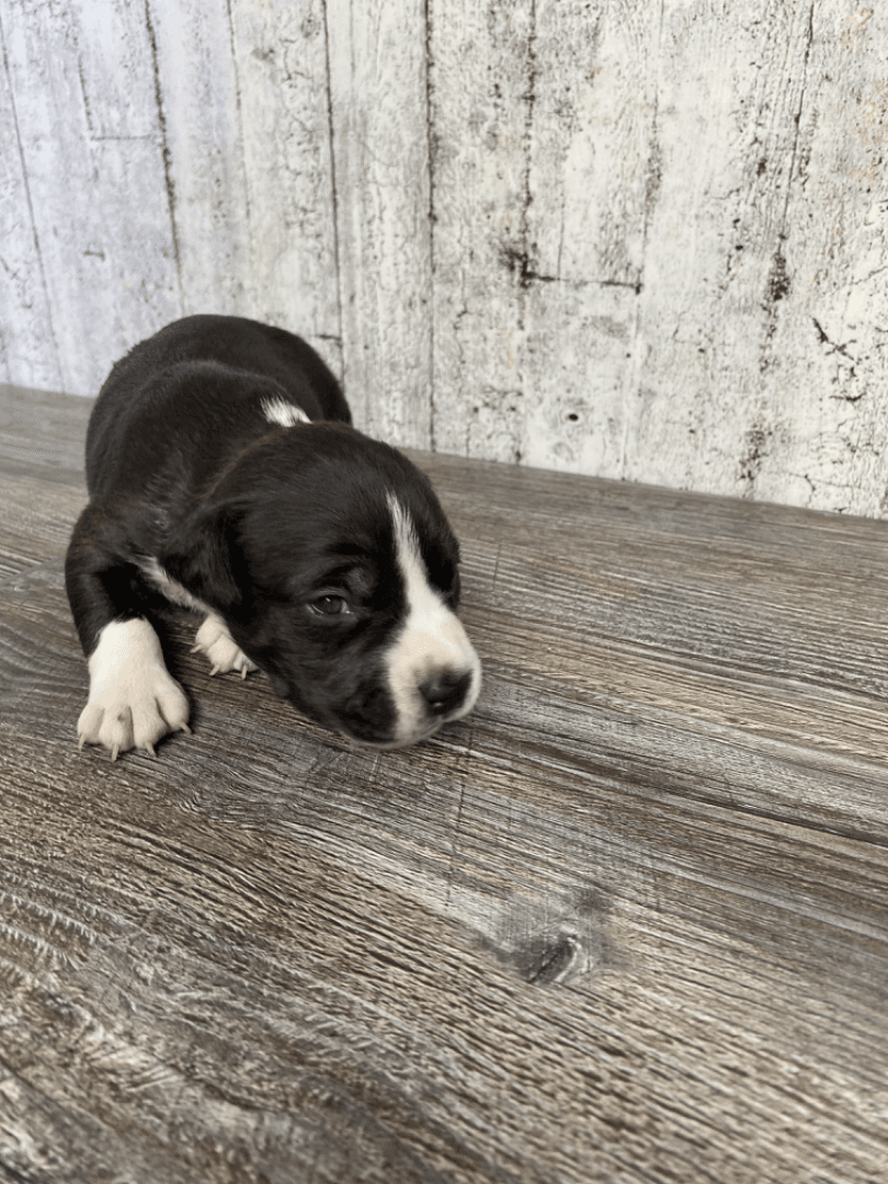 carousel-image-mobile-3