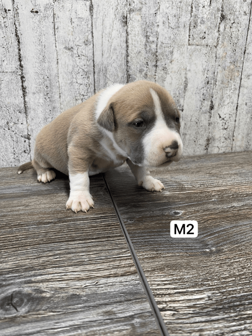 carousel-image-mobile-4